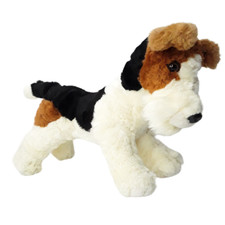 Jack Russell Terrier Puppy Dog