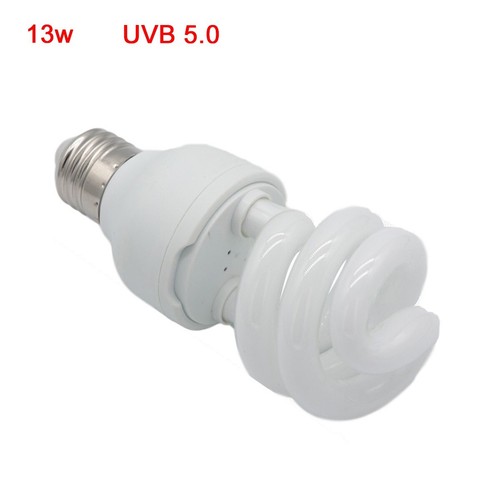 Pet screw bulb plant - pet,