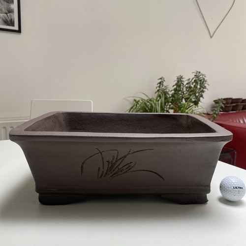 New large unglazed bonsai pot - bonsai,