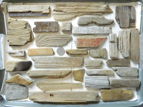 Driftwood pieces flat - pieces, one
