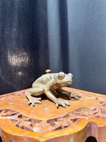 Pierre chenet bronze - -, frog