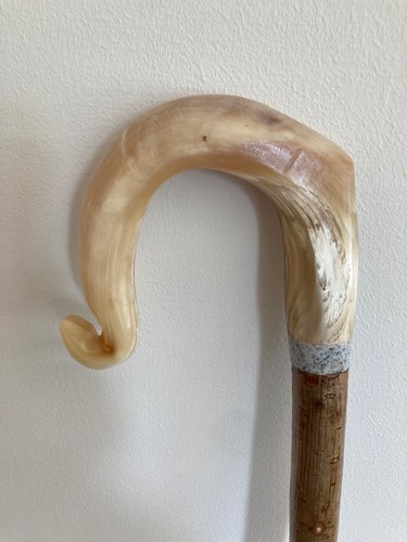 Rams horn crook handle stick - crook,