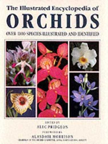 The illustrated encyclopedia - illustrated,