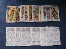 Adkin & Sons Cigarette Cards (