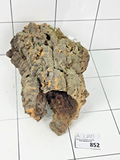 Natural Cork Bark Tube Wood