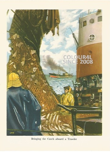 Trawler fishing catch fish - trawler,