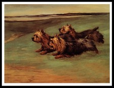 YORKSHIRE TERRIER GROUP OF