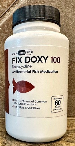 For fish aquariums - aquariums, &