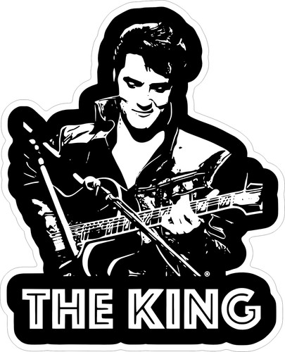 Elvis presley vinyl sticker - presley,
