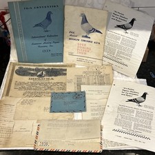 Lot american homing pigeon - of,