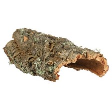 Tarantula,Snake,Reptile