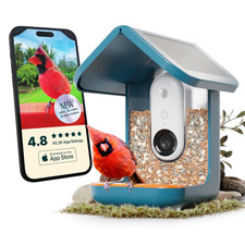 Bird Buddy Pro Solar Smart