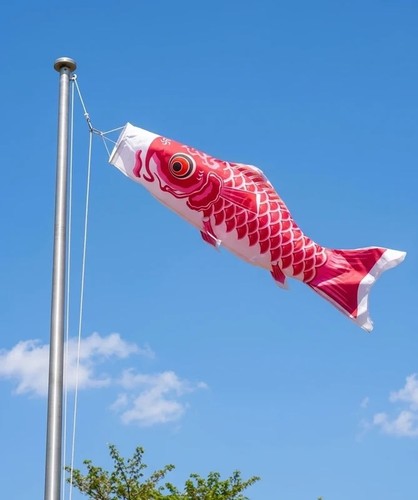 Japanese koi carp fish - japanese,