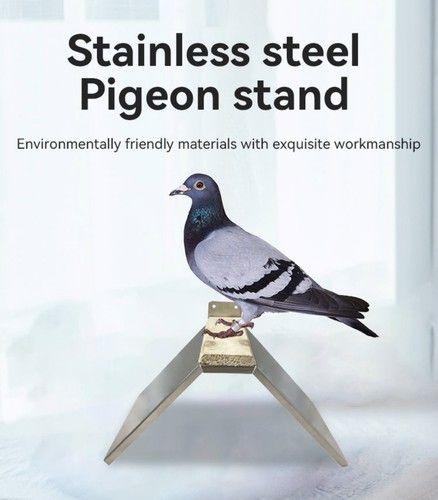 Stainless steel pigeon - stainless,