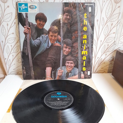 The animals - -,