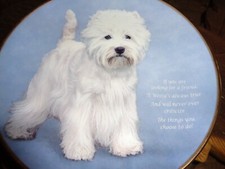 Danbury Mint Collectors Plate