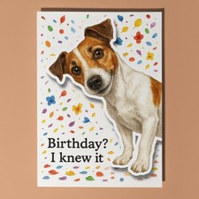 Jack Russell Dog - Pop Pets 3D