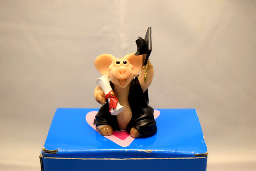 Piggin special graduation pig - special,