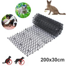 2M Cat Scat Spike Garden