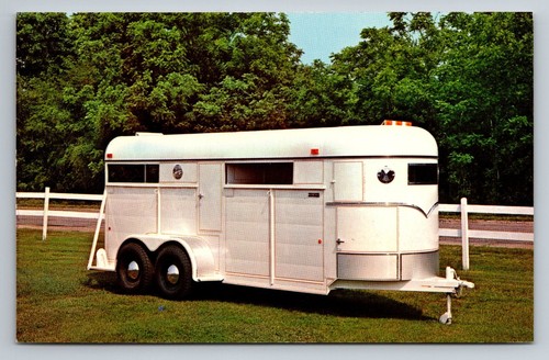 Rustler custom horse tandem - 4,