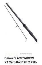 Diawa Blackwidow 12ft  Carp