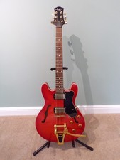 Acepro semi acoustic electric