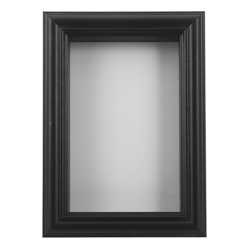 Insect shadow box - shadow,