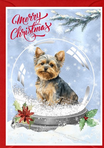 Yorkshire terrier yorkie dog - yorkie,