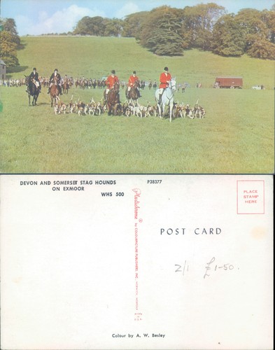 Devon and somerset stag hounds - devon,