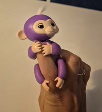 Purple Fingerling monkey 