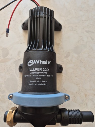 Whale gulper shower - gulper,