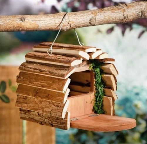 Squirrel cafe feeder station - squirrel,