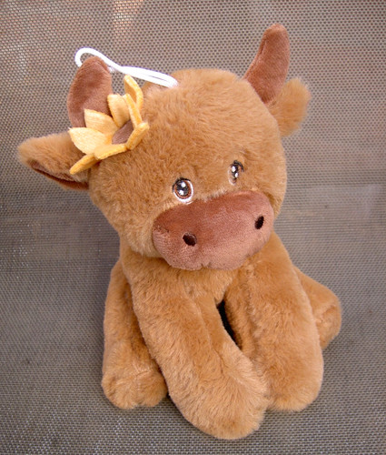King cuddly highland - king, with