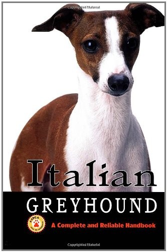 Italian greyhound complete - greyhound:,