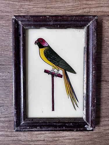 Indian parrot vintage reverse - vintage,