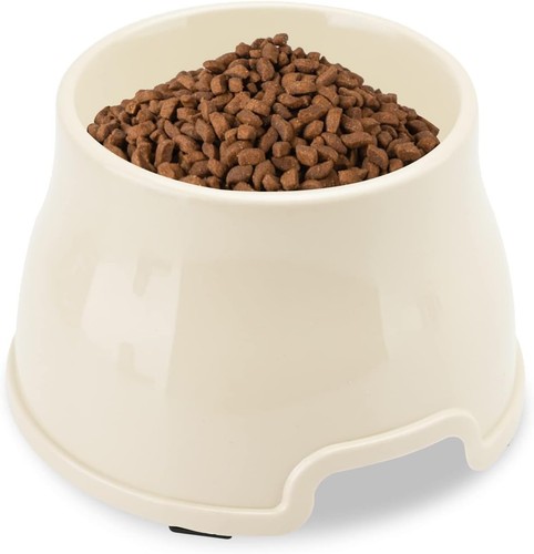 Long ears dog - ears, bowl,