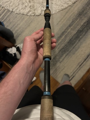 Loomis nrx 893c casting - g-loomis, rod