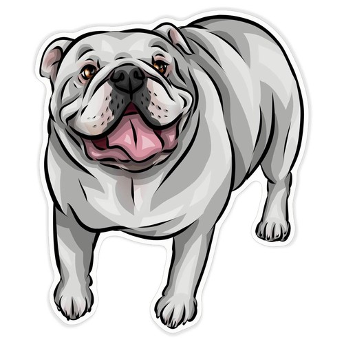 White english bulldog - bulldog', decal