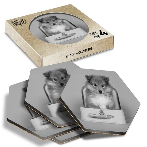 Hexagon coasters bw - bw,