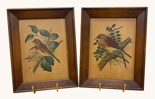 Gonner bird prints - gonner,