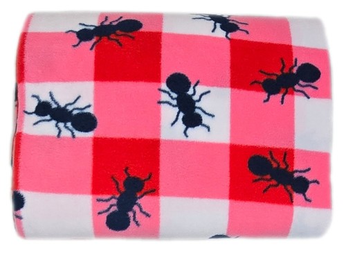 Remnant crazy ants red - crazy,