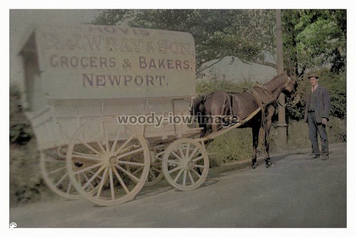 Rpc7085 wrays delivery - delivery, cart