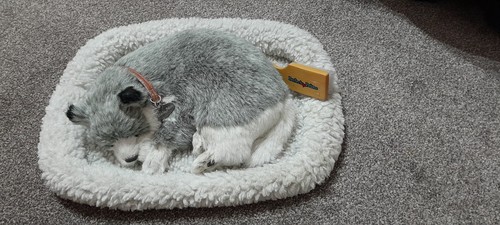 Perfect petzzz husky - petzzz,