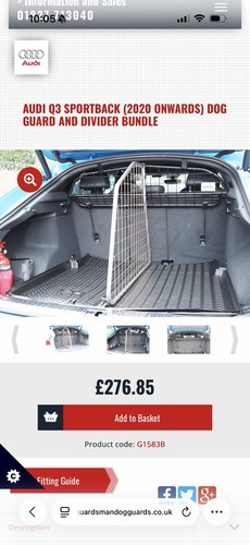 Audi guardsman dog - guardsman, divider