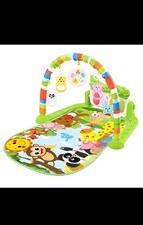 Baby Activity Fitness Mat