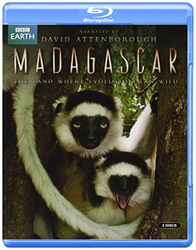 Madagascar dvd 5ovg - dvd,