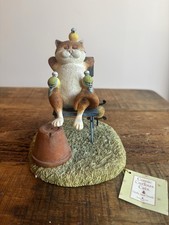 Comic and Curious Cat