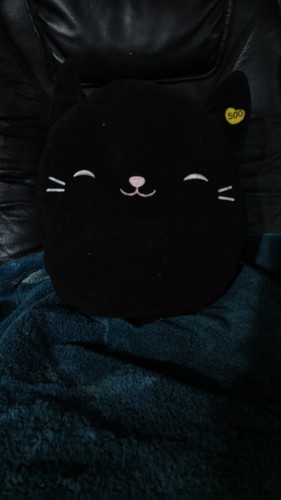 Squishmallows jack the - the, black