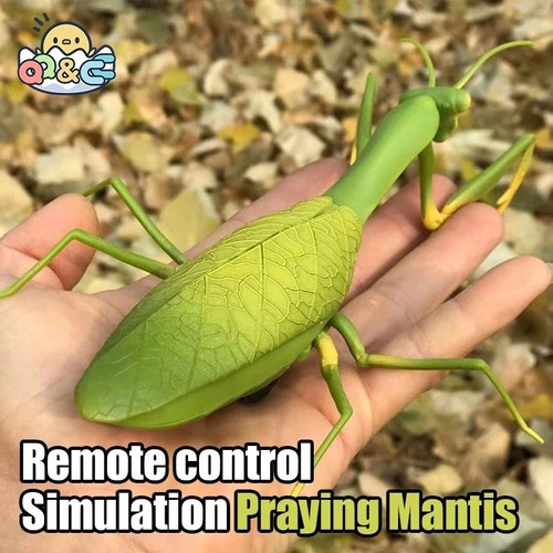 Animal robot antistress - robot,
