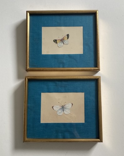 Pair vintage butterfly - pair, of